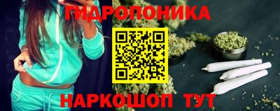 Альфа ПВП Ярославль