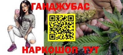 Альфа ПВП Ярославль