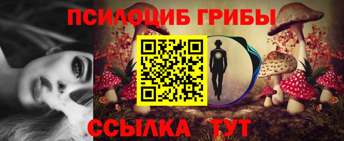Галлюциногенные грибы Cubensis  Псилоцибиновые грибы MAGIC MUSHROOMS  Бийск  Вход с VPN 